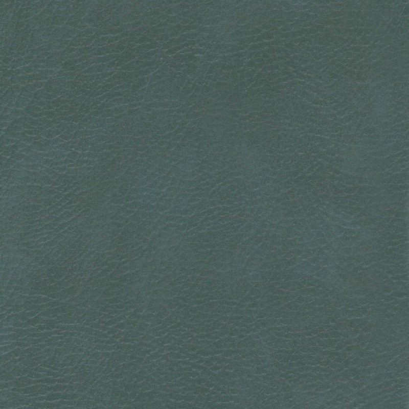 Leatheron Vinyl Lichen Upholstery Vinyl